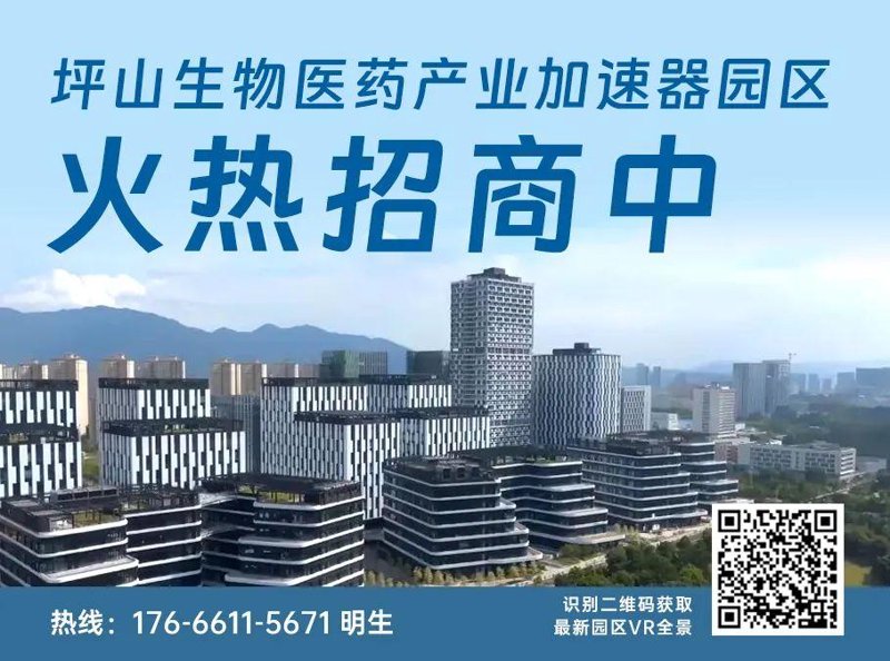 洞察商机:招商引资咨询背后的秘密
